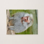 Puzzle Singe gris, Ape Macaque, Nature, Animaux (Horizontal)