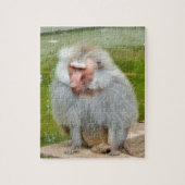 Puzzle Singe gris, Ape Macaque, Nature, Animaux (Vertical)