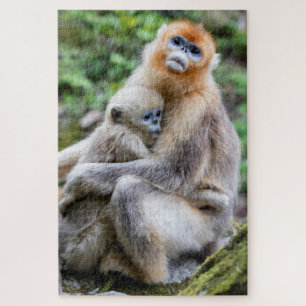 Puzzle Singe nez retroussé doré avec bébé