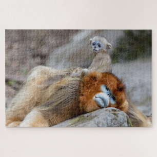 Puzzle Singe nez retroussé doré père avec bébé