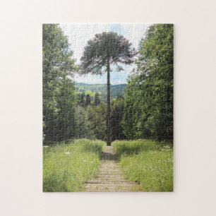 Puzzle Singe-puzzle