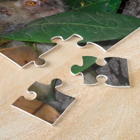 Puzzle Singes dans la forêt tropicale du Bornéo (Côté)