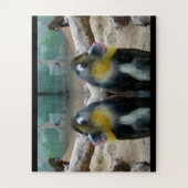 Puzzle Singes mandrins (Vertical)