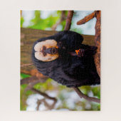 Puzzle Singes Saki. (Vertical)