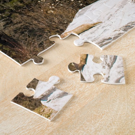 Puzzle Site de culte bouddhiste (Côté)