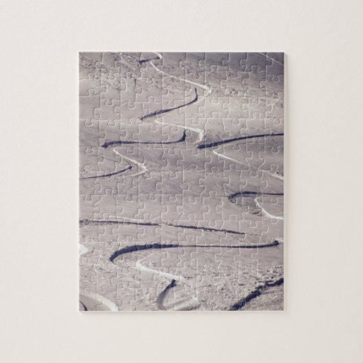 Puzzle Sking Tracks (Vertical)
