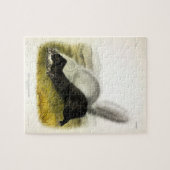 Puzzle Skunk (Texan Skunk) Audubon's Quadrupeds (Horizontal)