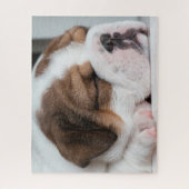 Puzzle Sleeping English Bulldog Puppy (Vertical)