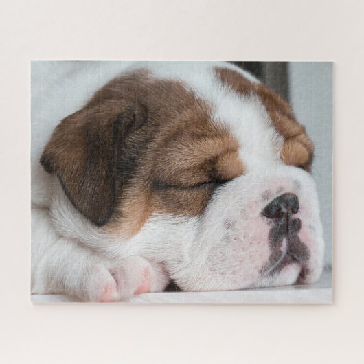 Puzzle Sleeping English Bulldog Puppy (Horizontal)