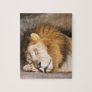 Puzzle Sleepy Dream Lion adulte sur les rochers