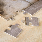 Puzzle Sleepy Dream Lion adulte sur les rochers (Côté)