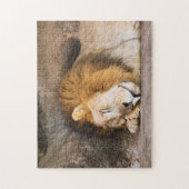 Puzzle Sleepy Dream Lion adulte sur les rochers (Vertical)
