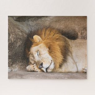 Puzzle Sleepy Dream Lion adulte sur les rochers