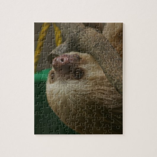 Puzzle Sloth (Vertical)