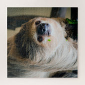 Puzzle Sloth 001 (Horizontal)