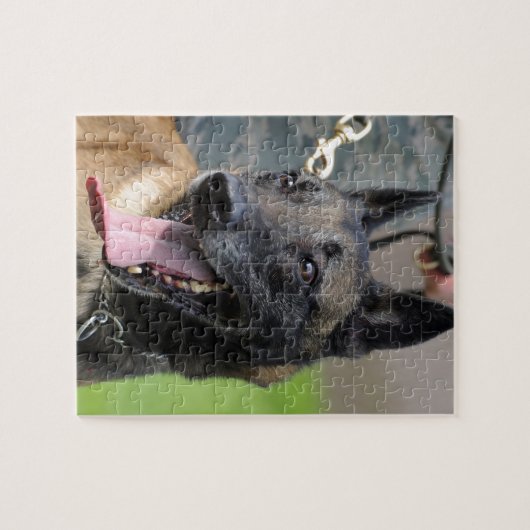 Puzzle Smiling (Horizontal)