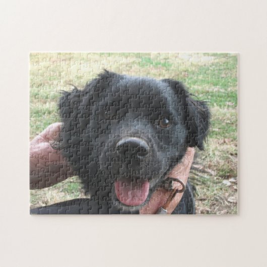 Puzzle Smokey Poses For Camera (Horizontal)