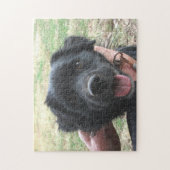 Puzzle Smokey Poses For Camera (Vertical)
