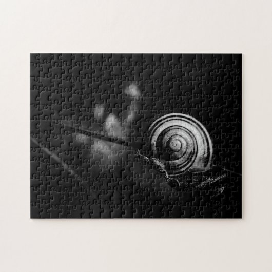 Puzzle sn (Horizontal)