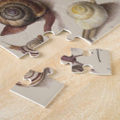 Puzzle Snail Slug Garden Pet Gastropod (Côté)