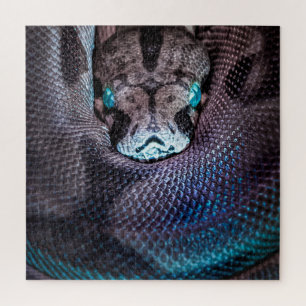 Puzzle Snake boa anaconda python reptile serpent