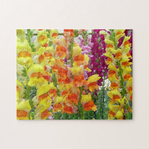 Puzzle Snapdragons colorés floraux
