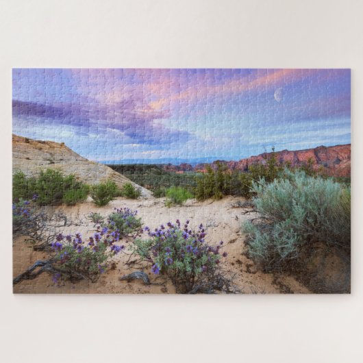 Puzzle Snow Canyon Sunrise Paysage Fleur sauvage Photo (Horizontal)