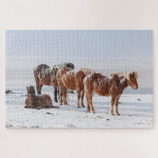Puzzle Snow Covered Icelandic Horses (Horizontal)