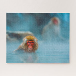 Puzzle Snow Monkeys.