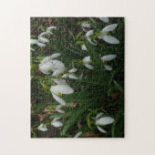 Puzzle Snowdrops I (Vertical)