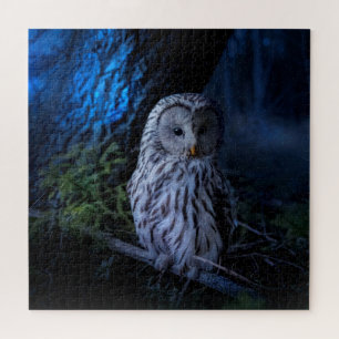 Puzzle Snowy Owl