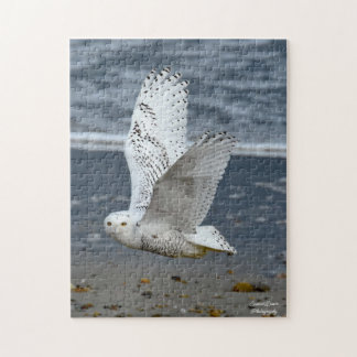 Puzzle Snowy Owl on a beach 