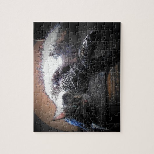 Puzzle soleil Ahh (Vertical)