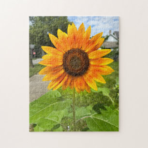 Puzzle Soleil brillant