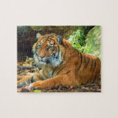 Puzzle solennel de tigre (Horizontal)
