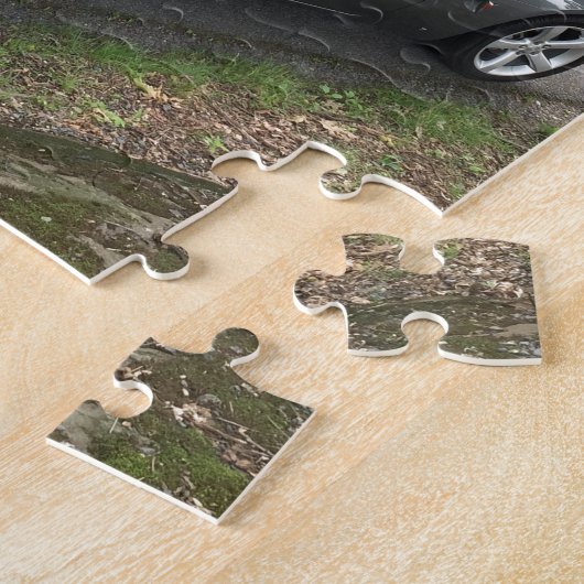 Puzzle Solstice de Pontiac (Côté)