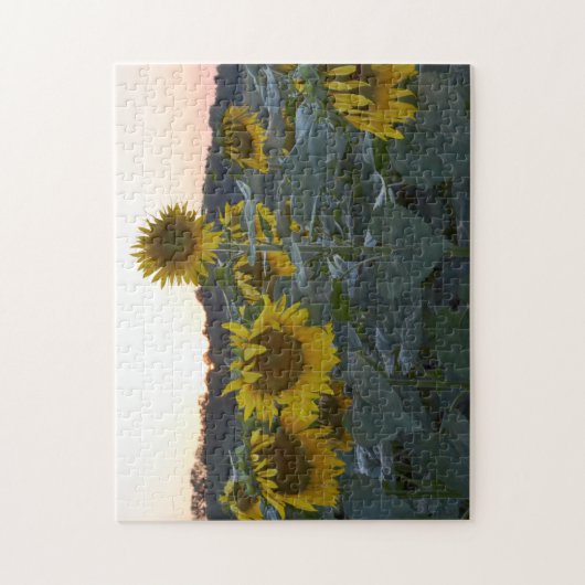 PUZZLE SOMNOLENT DE TOURNESOLS (Vertical)