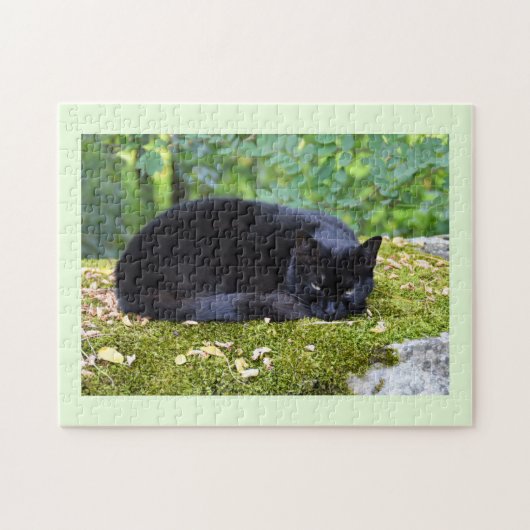 Puzzle Sooty (Horizontal)