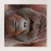 Puzzle Soul Beneath the Flanges – Orangutan Face (Horizontal)