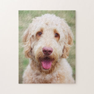 Puzzle Souriant d'endoodle doré