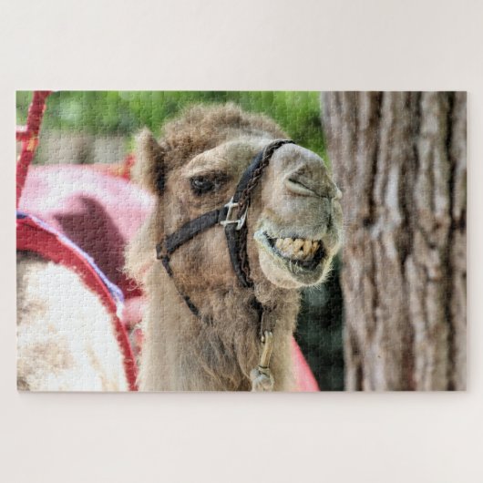 Puzzle Sourire (Horizontal)