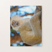 Puzzle Sourire. Singe velours Botswana. (Vertical)