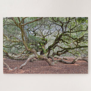 Puzzle Sous Angel Oak, Caroline du Sud