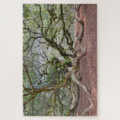 Puzzle Sous Angel Oak, Caroline du Sud (Vertical)