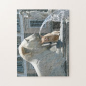 Puzzle Sous la fontaine, Grumpy Cat à Rome ! (Vertical)