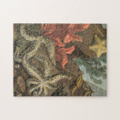 Puzzle Sous la mer (Horizontal)