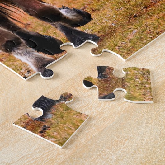 Puzzle Soyez le chef de course des chevaux (Côté)