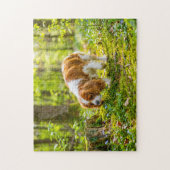 Puzzle Spaniel se promenant dans une forêt de printemps l (Vertical)