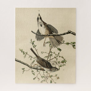 Puzzle Sparrow de Audubon's Birds of America