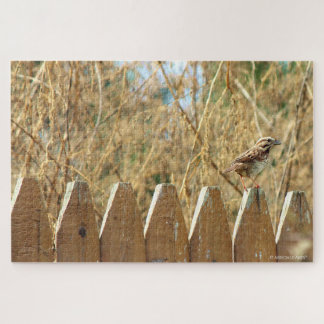 Puzzle Sparrow de chanson sur la clôture